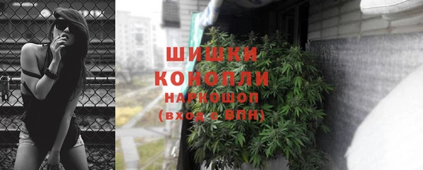 хмурый Арсеньев