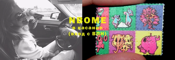 хмурый Арсеньев