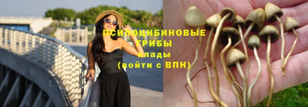 синтетический гашиш Армянск