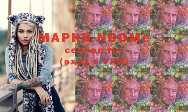 хмурый Арсеньев