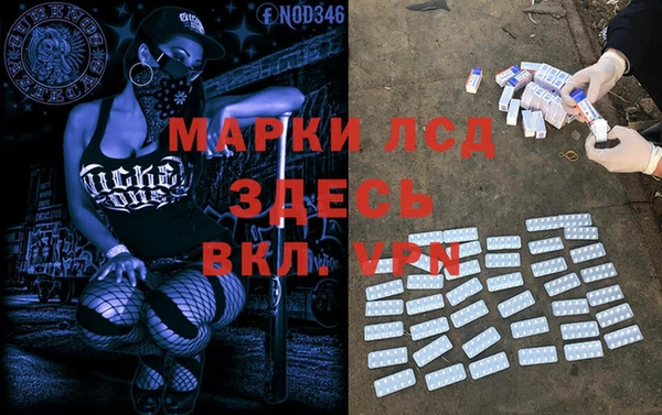 хмурый Арсеньев