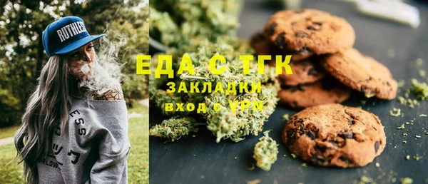 хмурый Арсеньев