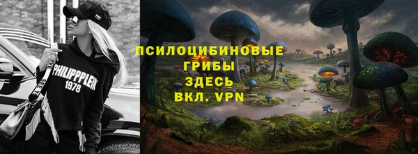 хмурый Арсеньев
